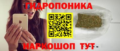 дурь Славгород