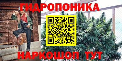 дурь Славгород