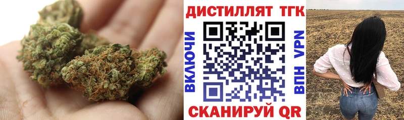 ОМГ ОМГ как войти Новый Уренгой Дистиллят ТГК THC oil