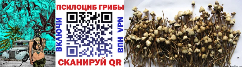 kraken зеркало  Новый Уренгой  Псилоцибиновые грибы Psilocybine cubensis 