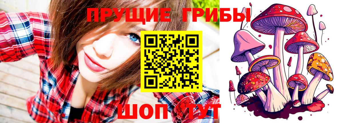 Псилоцибиновые грибы GOLDEN TEACHER  Галлюциногенные грибы ЛСД  Новый Уренгой  Вход с VPN 