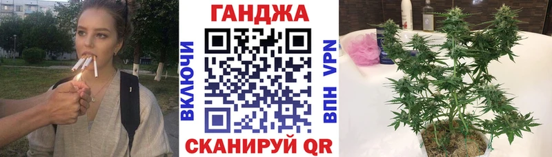 Шишки марихуана семена  хочу   Новый Уренгой 